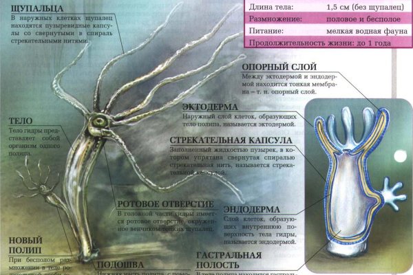 Кракен маркет плей